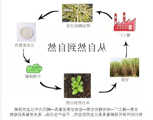 环保纸浆餐具多长时间可以完全降解？